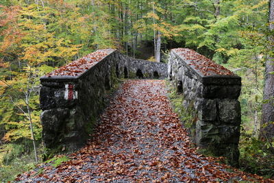 On a hiking trail